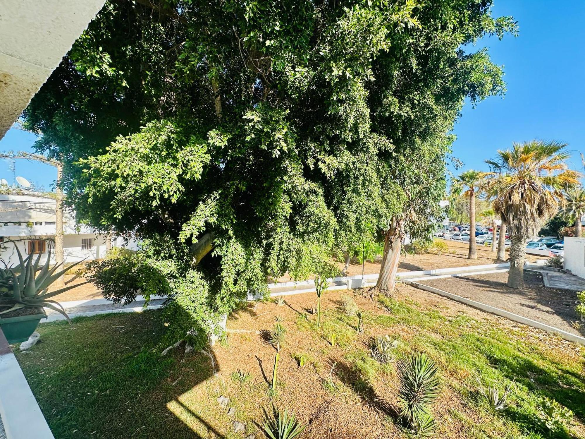 Apartamento Eureka Costa Del Silencio Εξωτερικό φωτογραφία